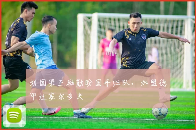 刘国梁王励勤盼国手归队，加盟德甲杜塞尔多夫