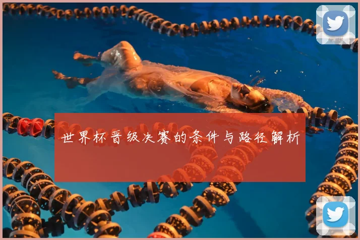 世界杯晋级决赛的条件与路径解析