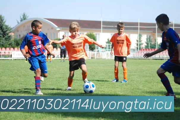 九游网页版登录界面 - 九游jiuyou(中国)服务体系