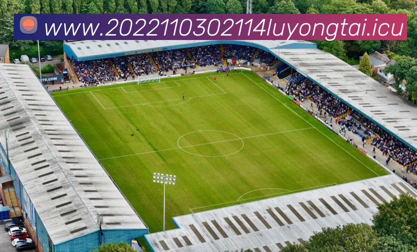 多媒体互动体验